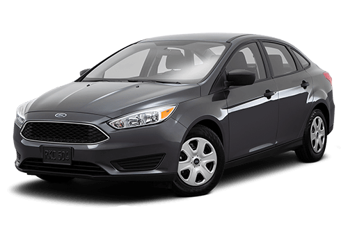 Ford Focus 2015 Rental (Grey)