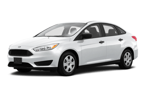 Ford Focus 2016 Rental (White)